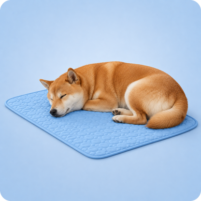 Tapis rafraîchissant pour chien, le Toutou Français™