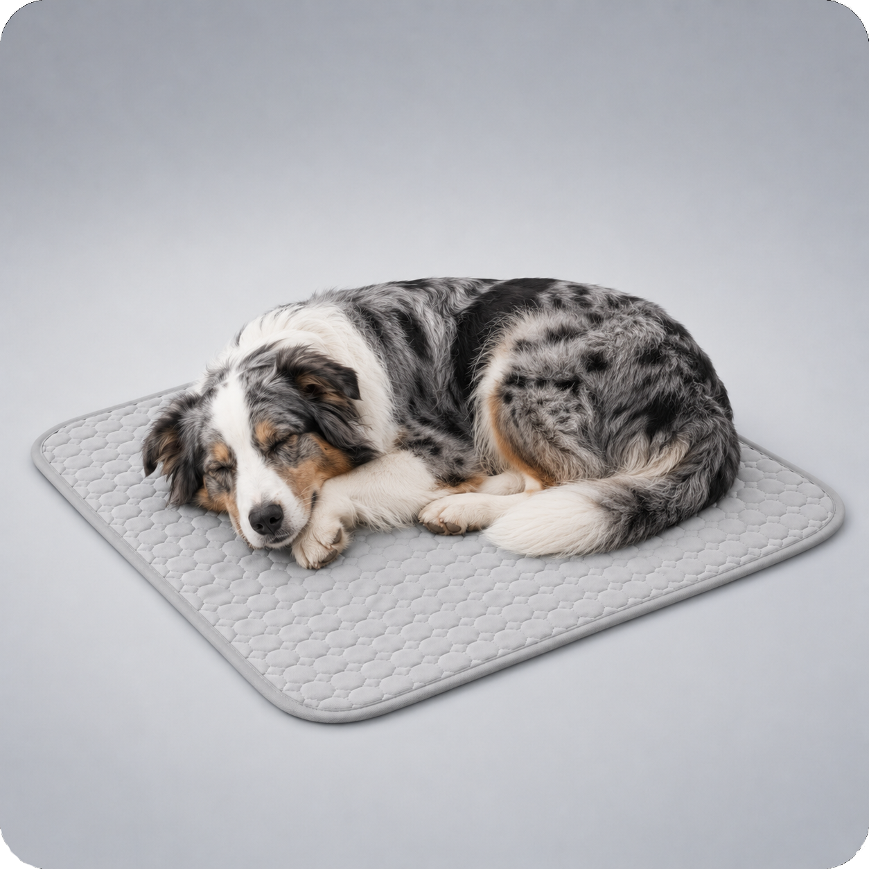 Tapis rafraîchissant pour chien, le Toutou Français™