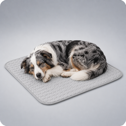 Tapis rafraîchissant pour chien, le Toutou Français™