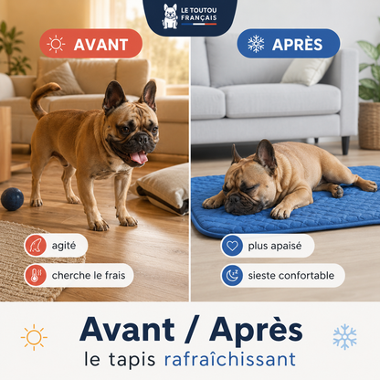 Tapis rafraîchissant pour chien, le Toutou Français™