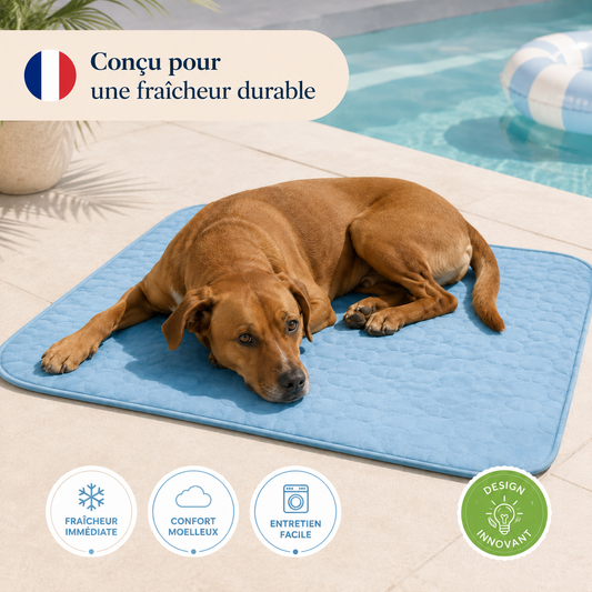 Tapis rafraîchissant pour chien, le Toutou Français™