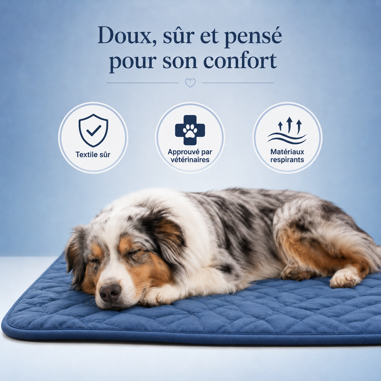 Tapis rafraîchissant pour chien, le Toutou Français™