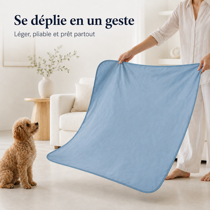 Tapis rafraîchissant pour chien, le Toutou Français™