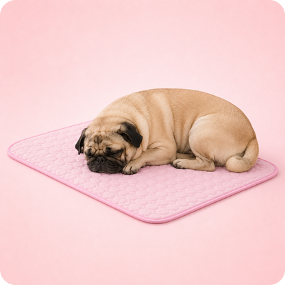 Tapis rafraîchissant pour chien, le Toutou Français™
